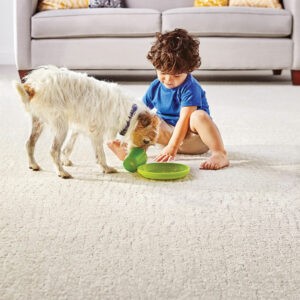 Kid playing with puppy | Pierce Flooring Wholesale Direct