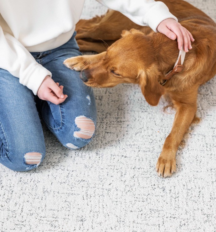 Pet friendly floor | Pierce Flooring Wholesale Direct