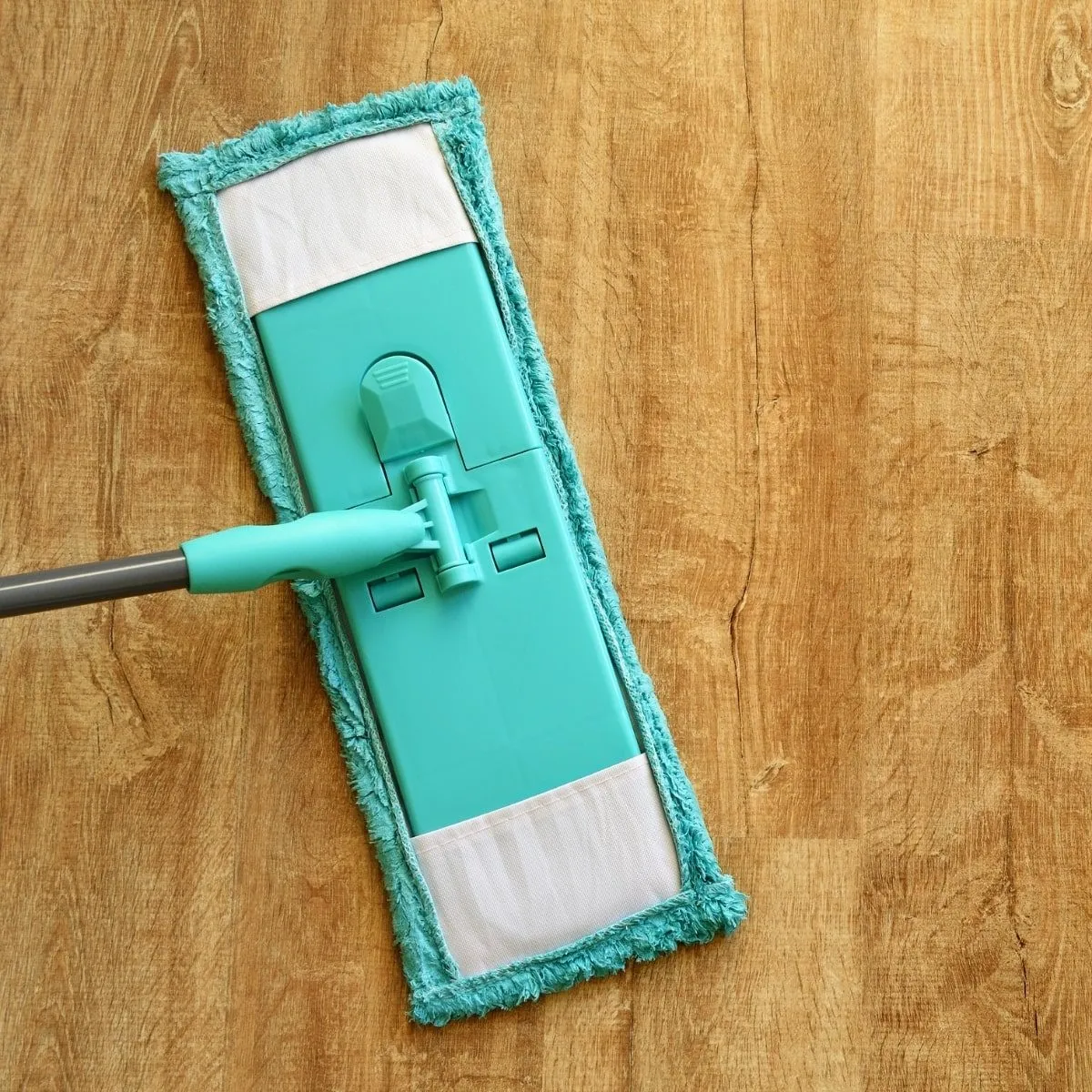 vinylcare-min-square-1