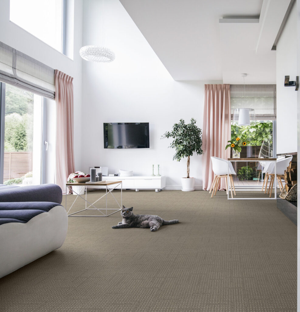 Tabby 76906 RS - Pierce Flooring Wholesale