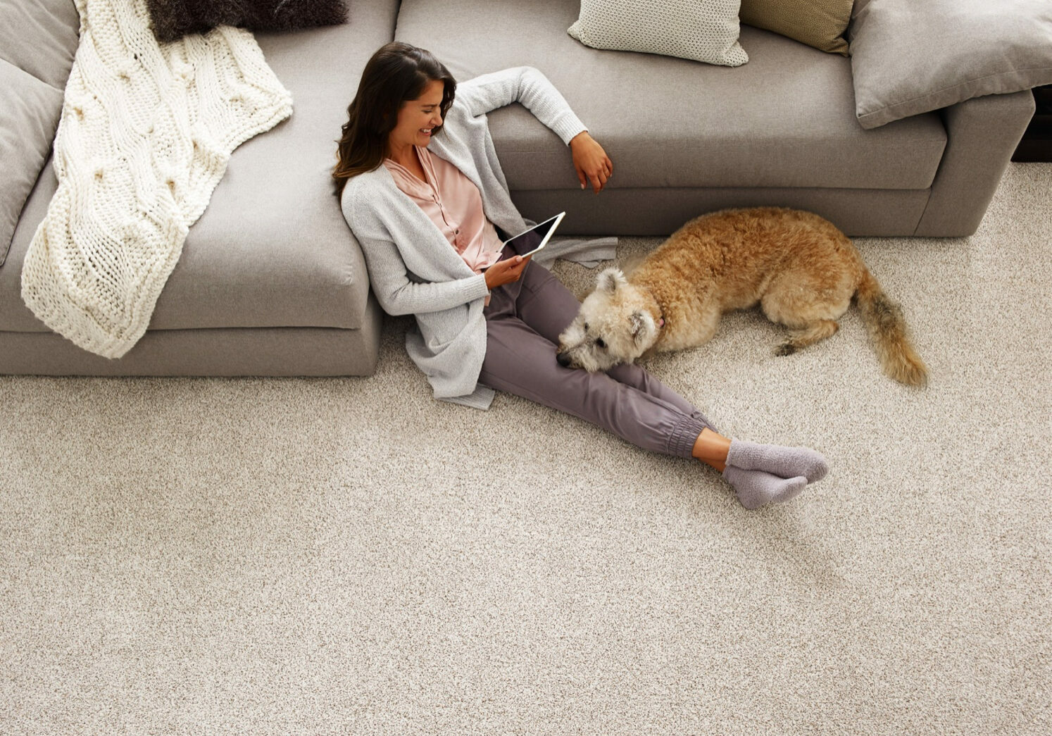 Carpet flooring | Pierce Flooring Wholesale Direct